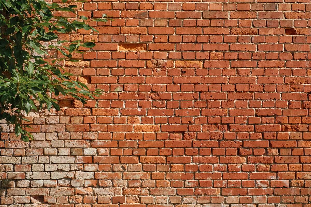Фотошпалери дерев'яна гілка біля цегляного паркану