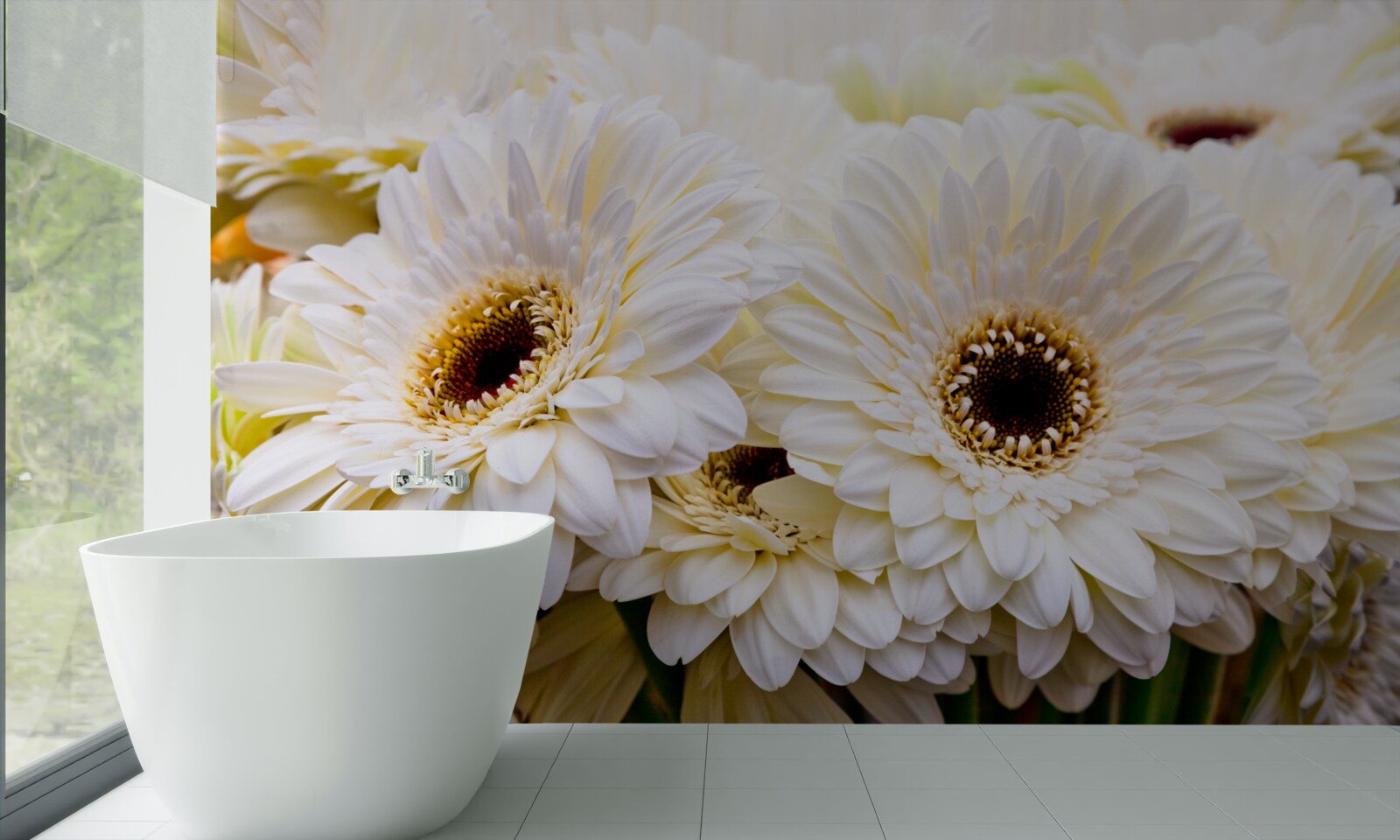 Фотошпалери колекція білосніжних гербер