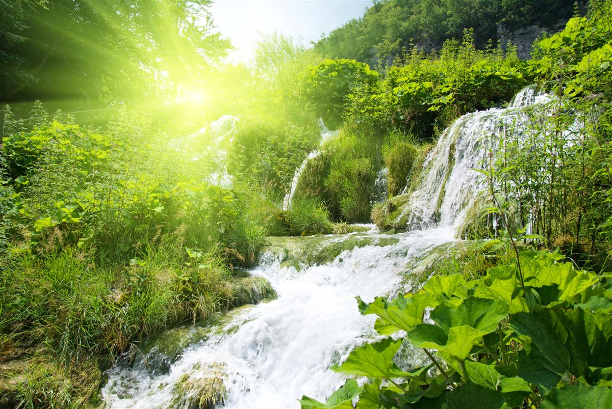 Фотошпалери таємничий водоспад у гірському лісі