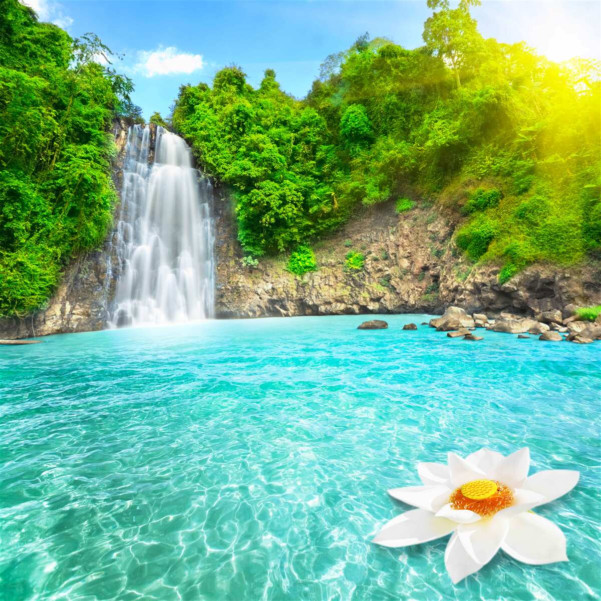 Фотошпалери вода у водоспаді кришталево чиста