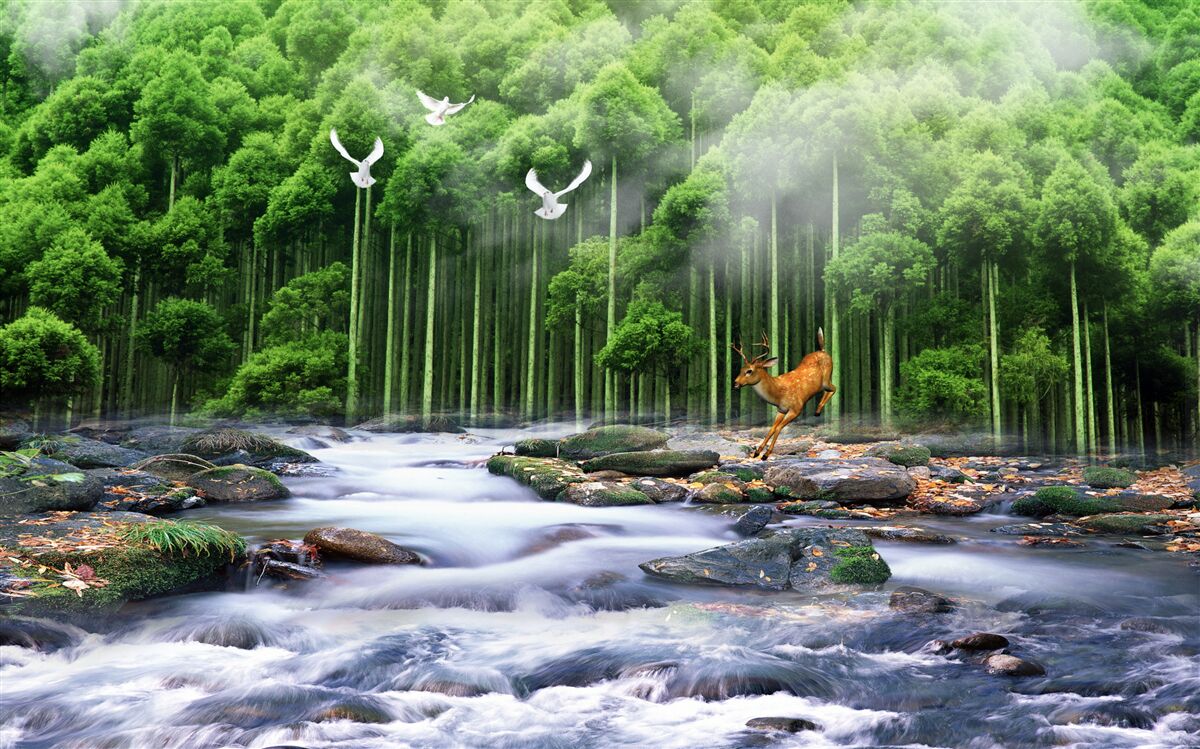 Фотошпалери лісова природа та каскадні водоспади