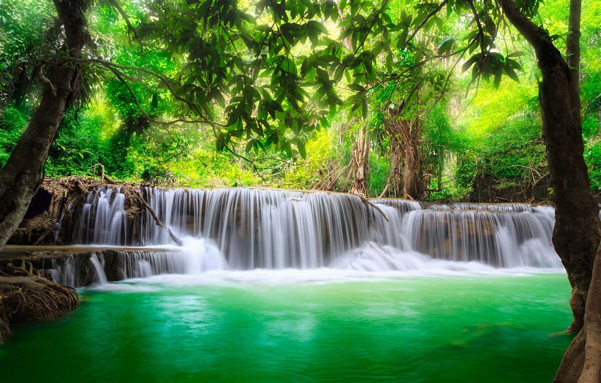 Фотошпалери лісовий водоспад надає своїй воді смарагдового кольору