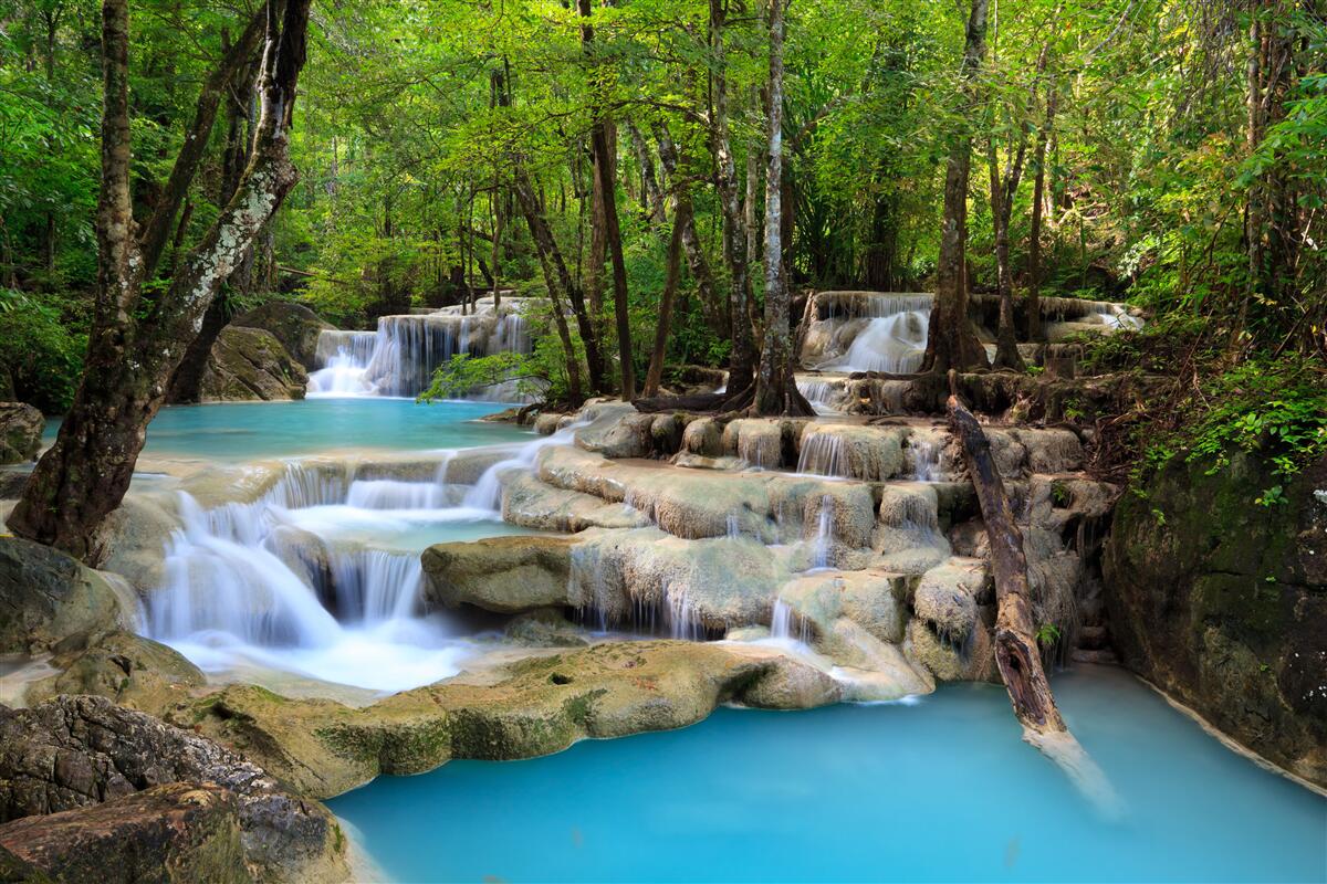 Фотошпалери водоспади, що падають у густий ліс