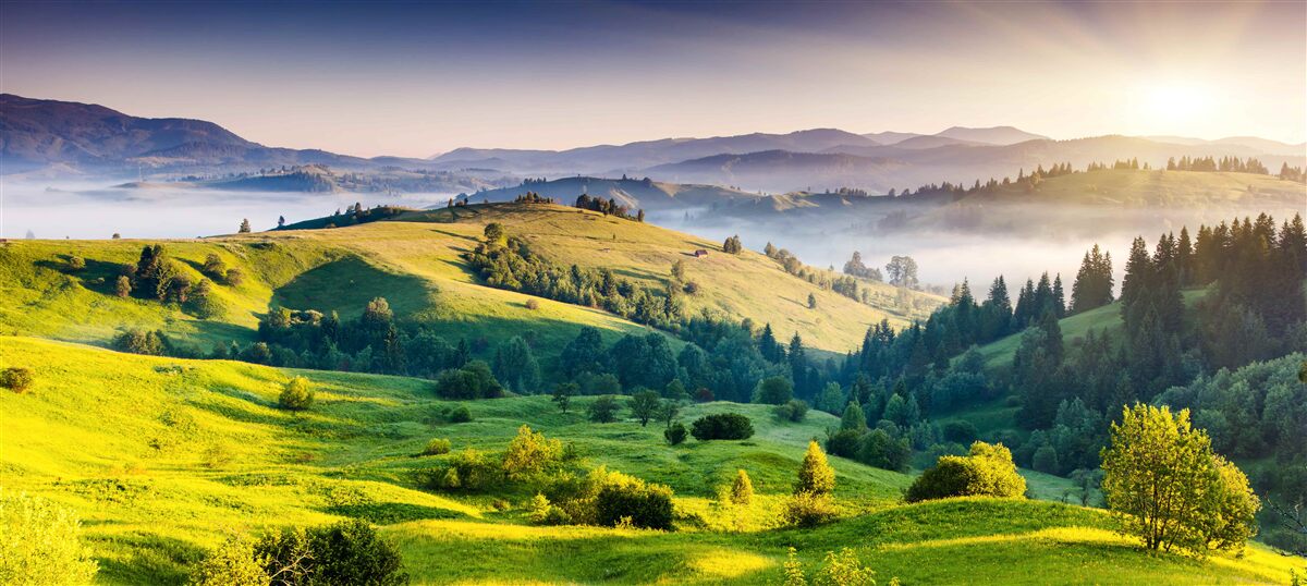 Фотошпалери гірські луки оживають у теплих променях світанку