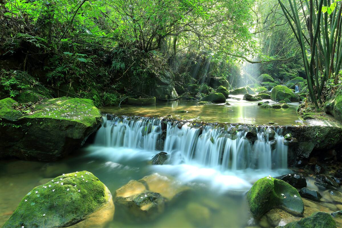 Фотошпалери водоспад шумно розливає широкі потоки серед зелені, осяяний сонячними променями