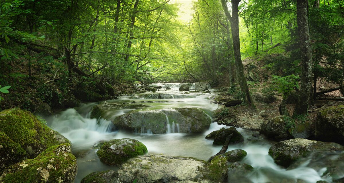 Фотошпалери водоспад у зеленій глибині лісу тихо дзюрчить своїми водами