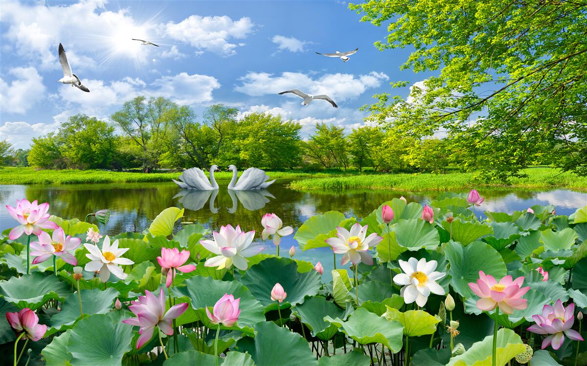 Фотошпалери ліс біля води та літні квіти