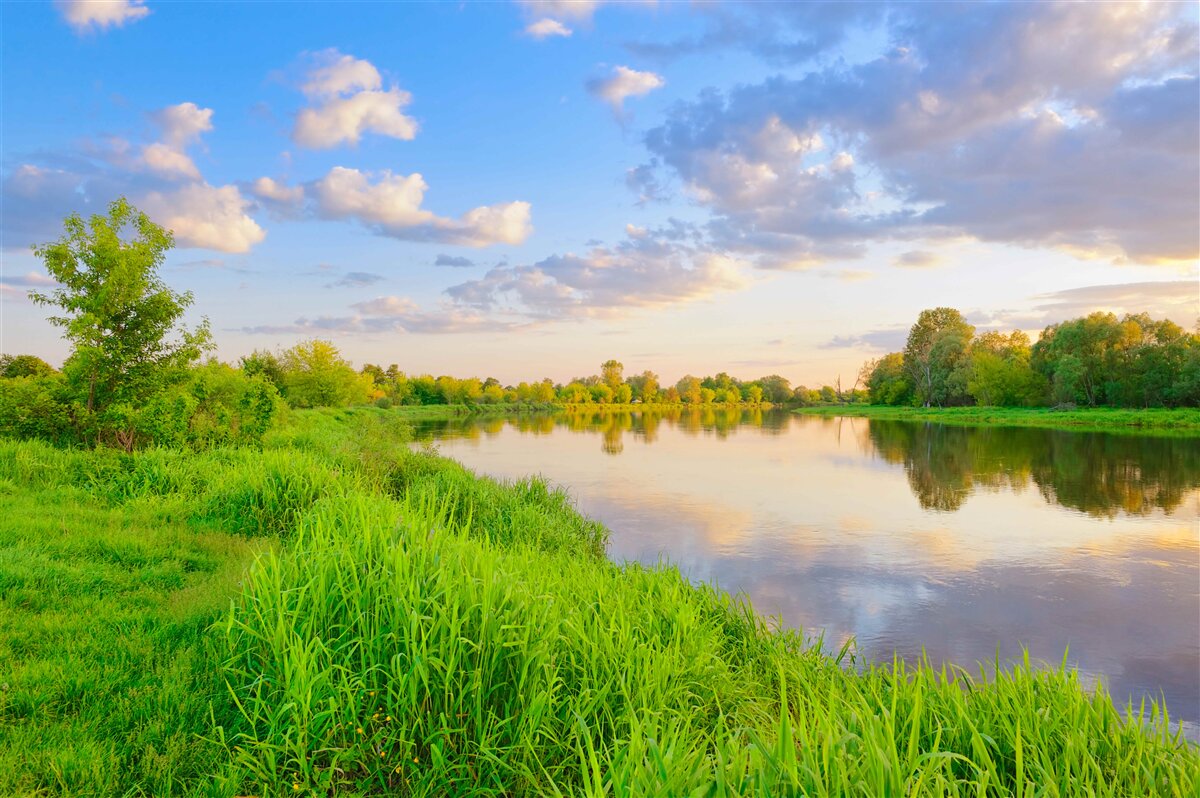 Фотошпалери спокійна річка поруч із зеленим лугом