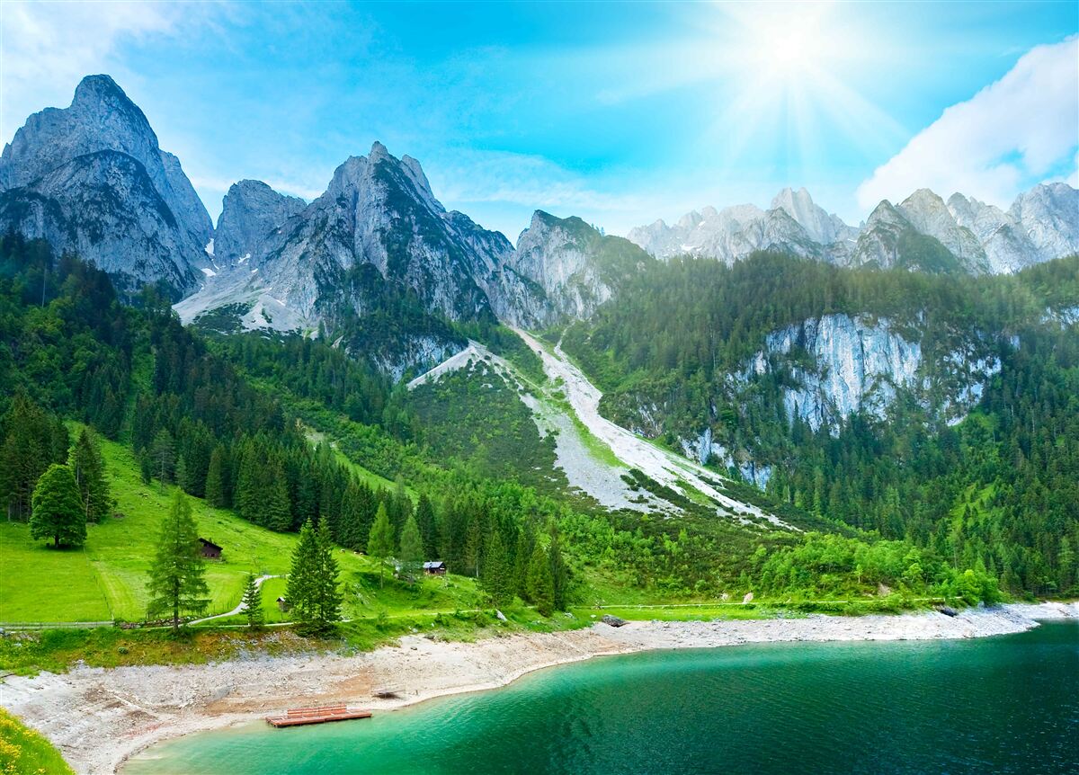 Фотошпалери засніжені гірські вершини та зелений ліс