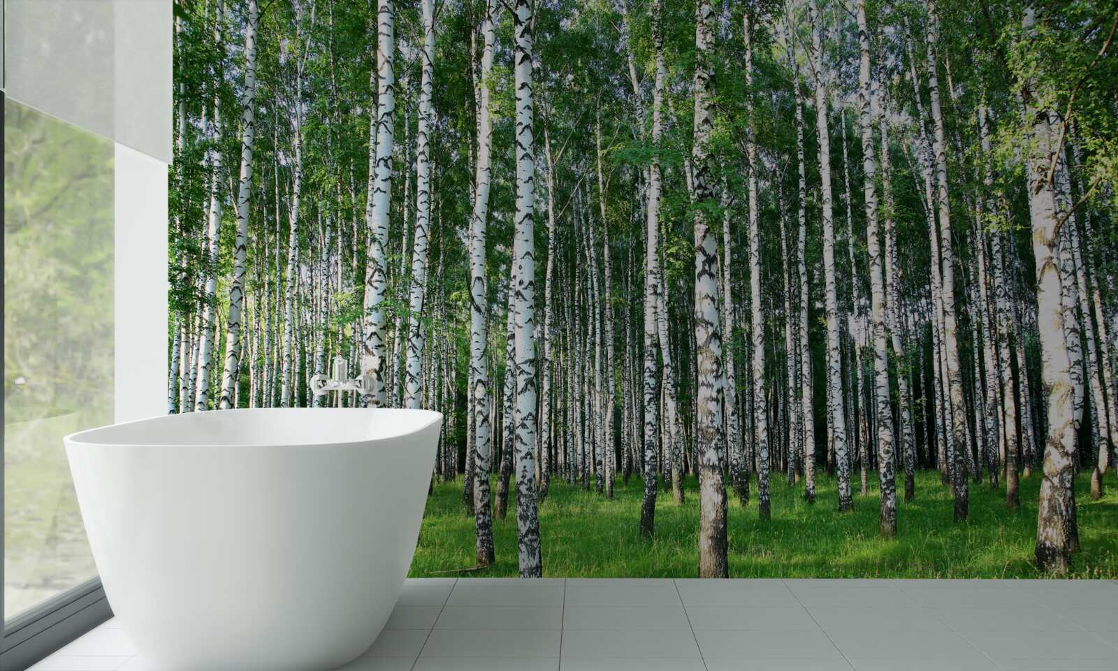 Фотошпалери стрункі берези в літньому оздобленні