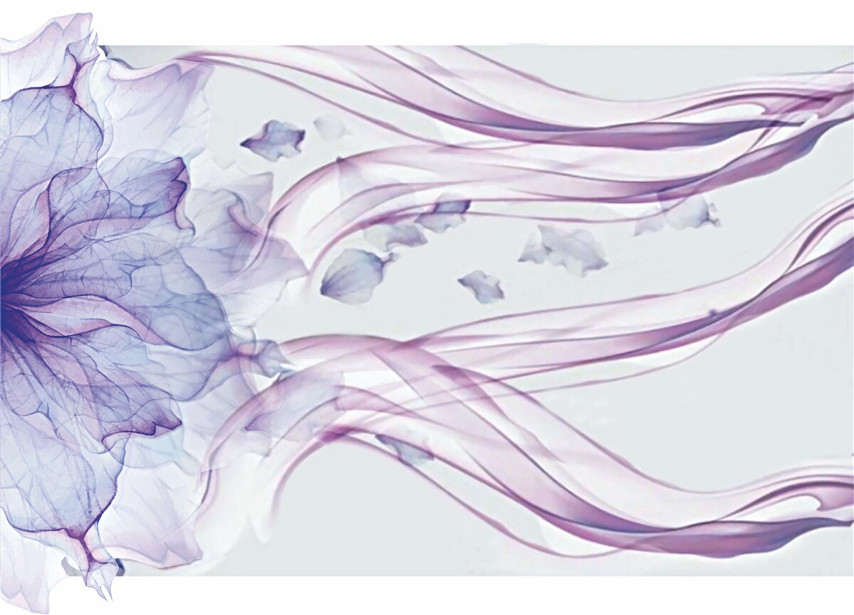 Last Product image