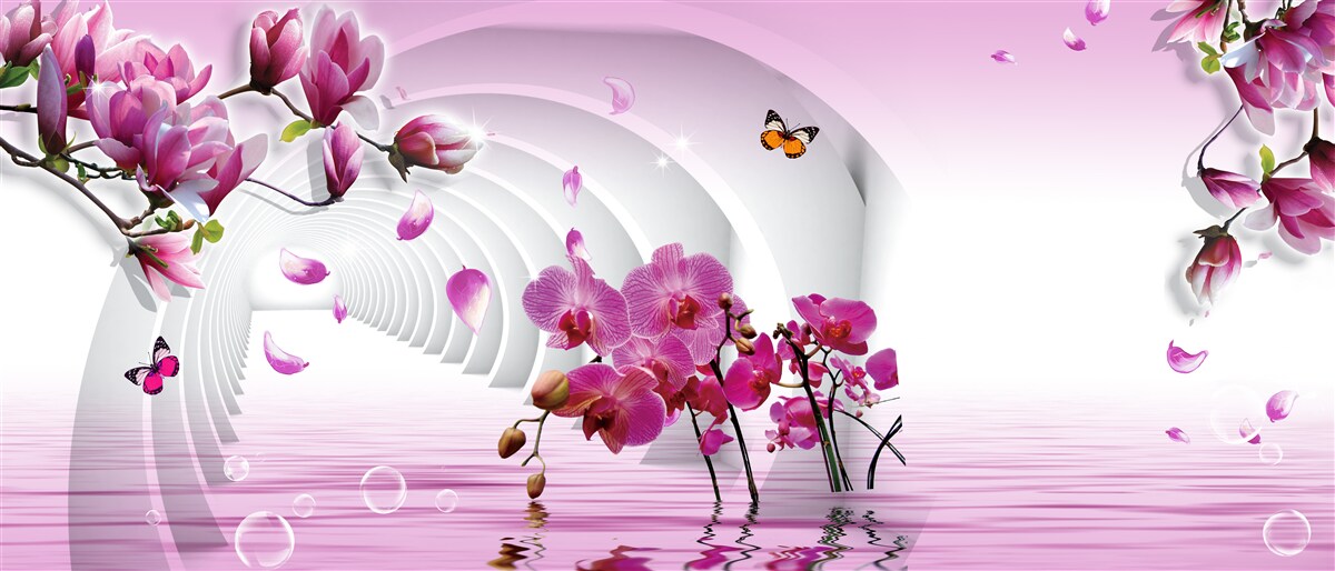 Last Product image