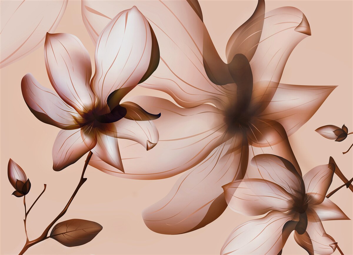 Last Product image