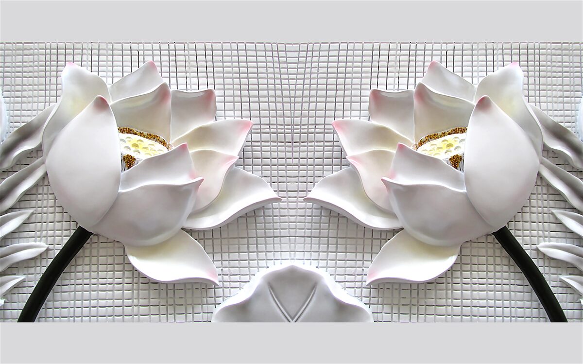 Last Product image