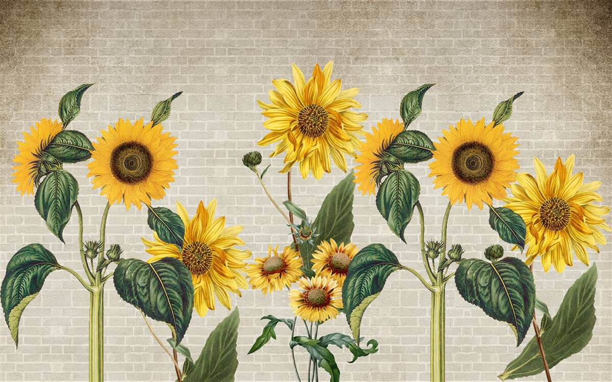 Last Product image