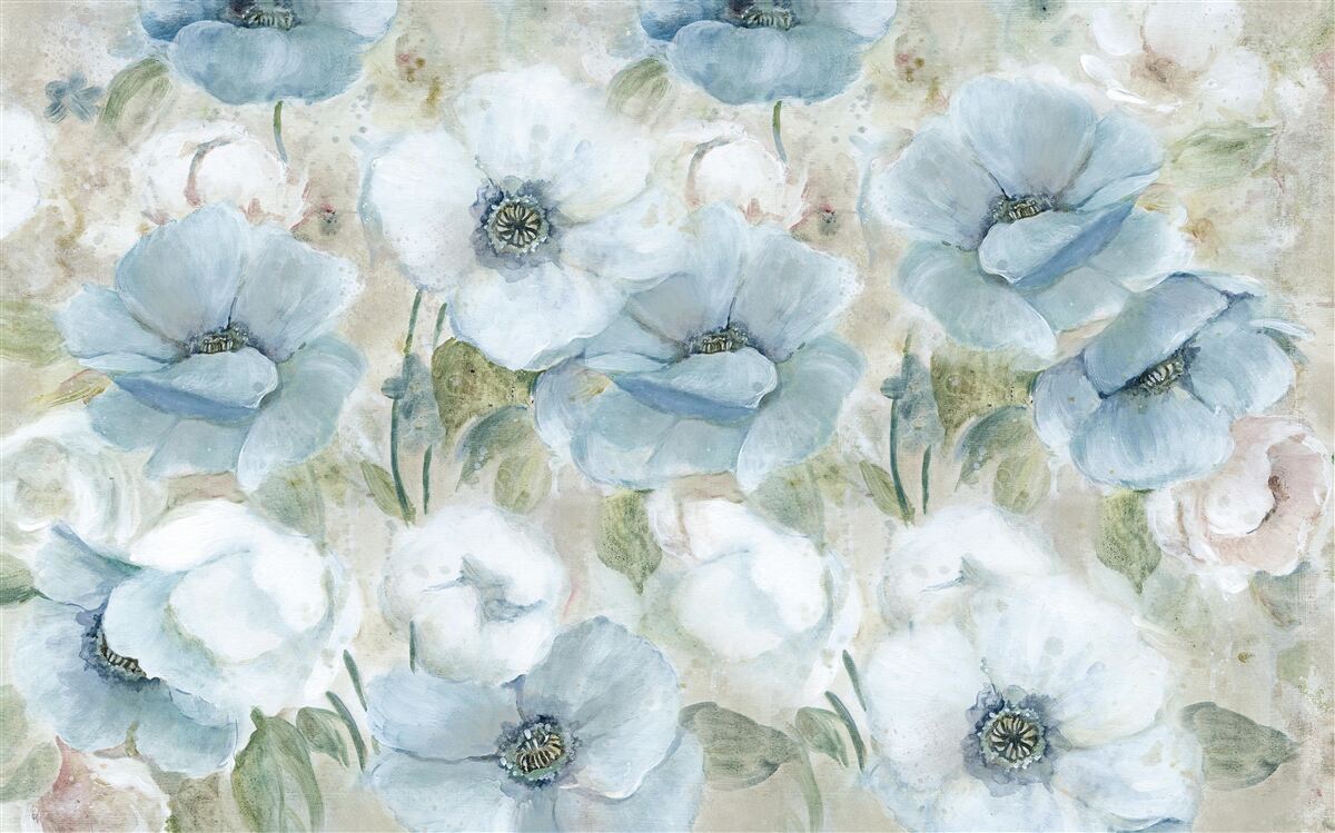 Last Product image