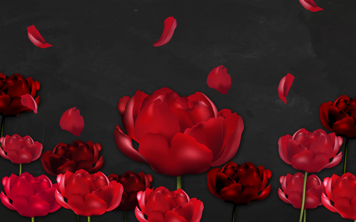 Last Product image
