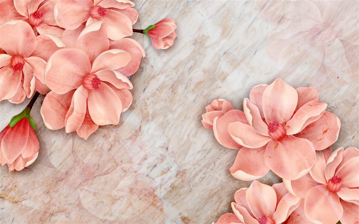 Last Product image