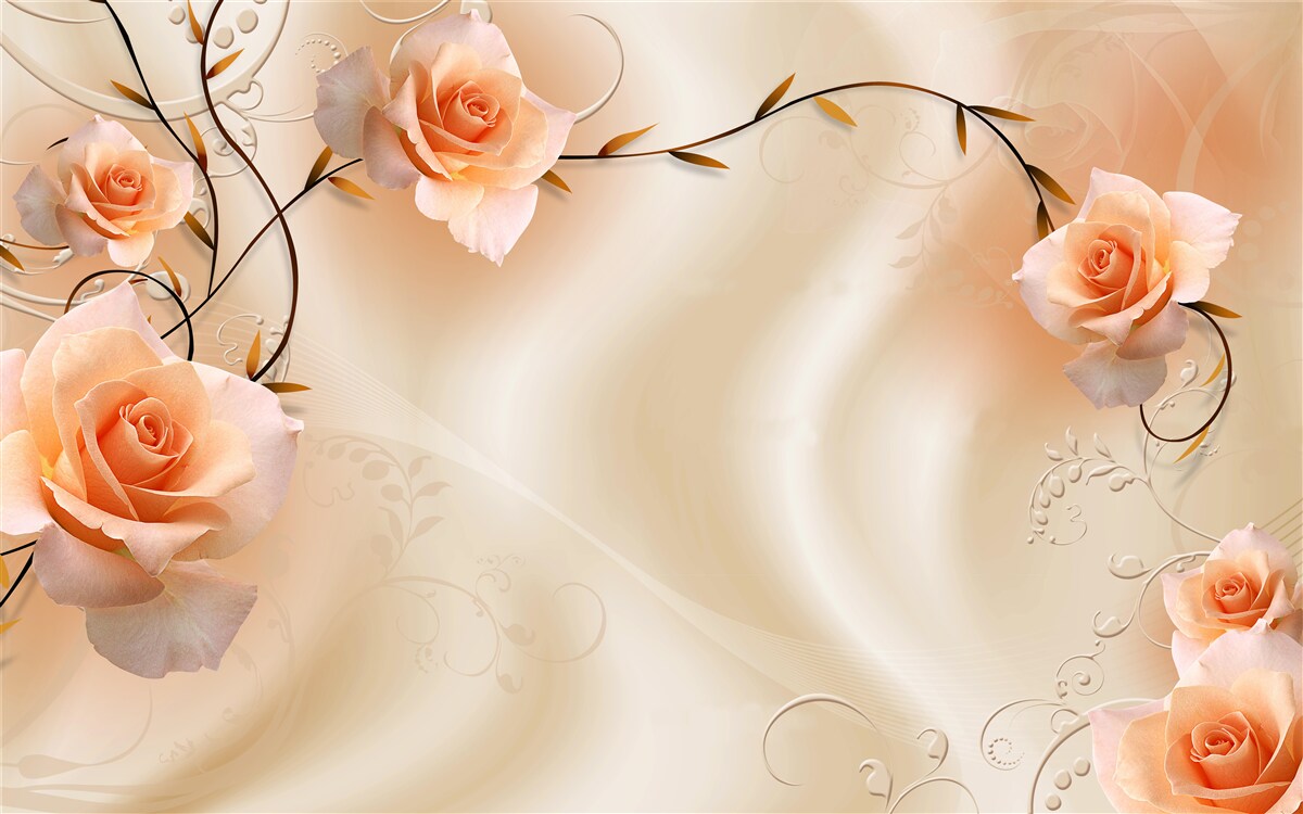 Last Product image