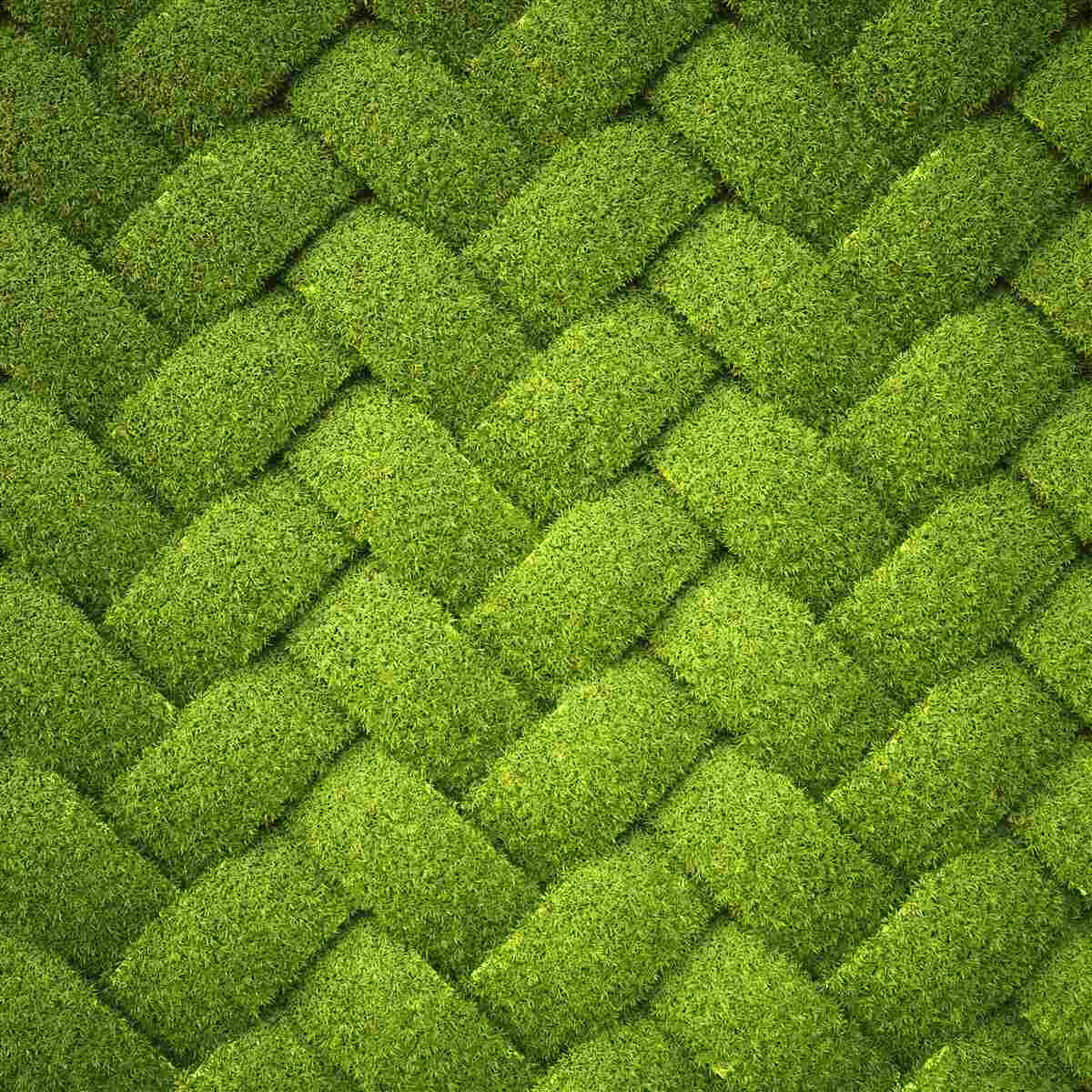 Last Product image