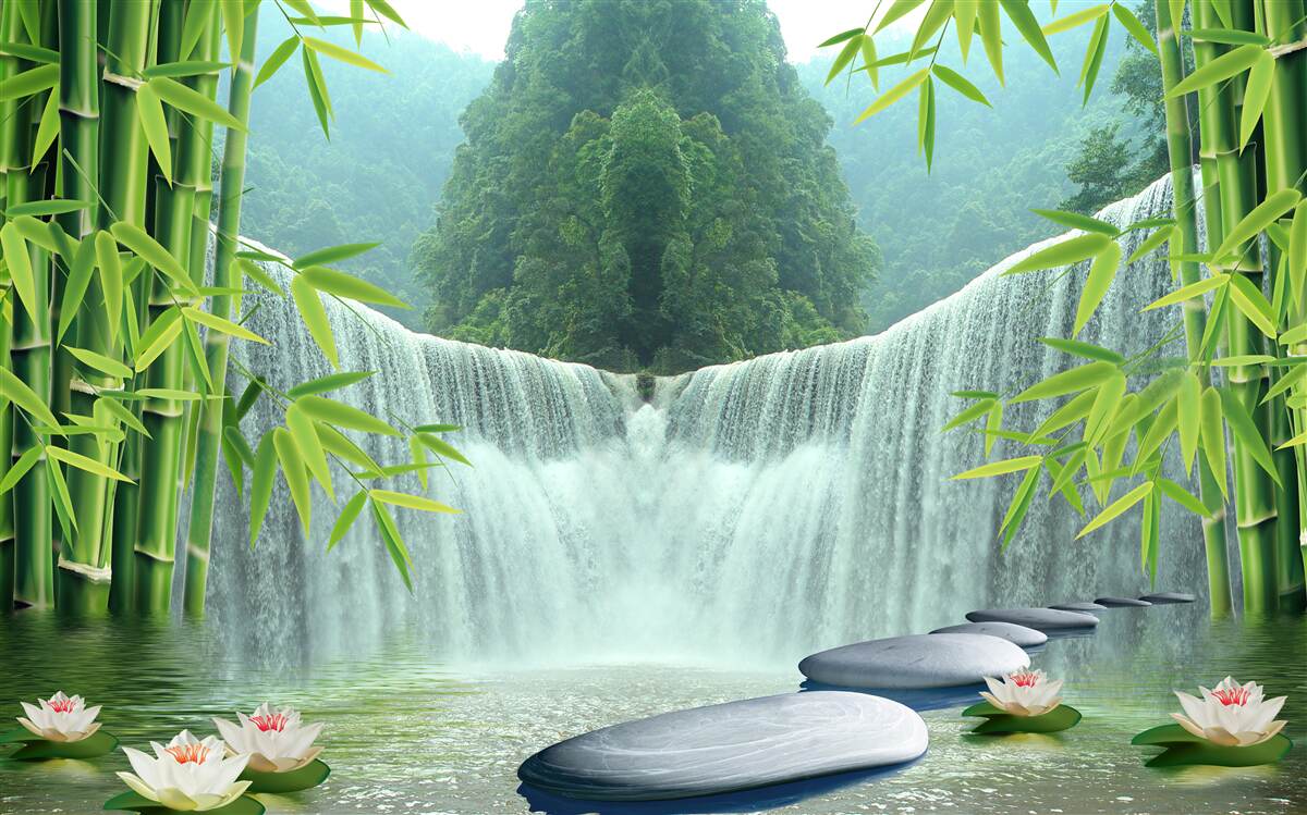 Last Product image