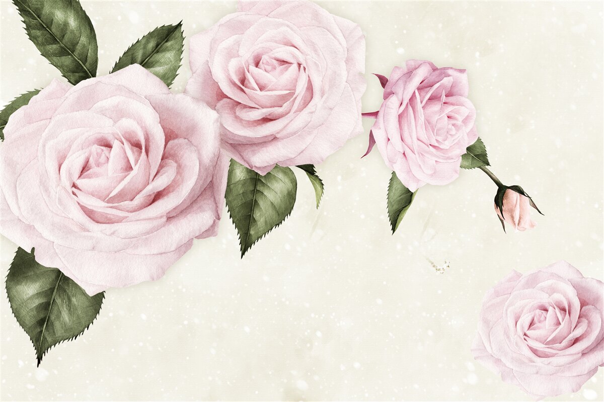 Last Product image