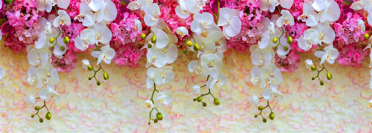 Last Product image