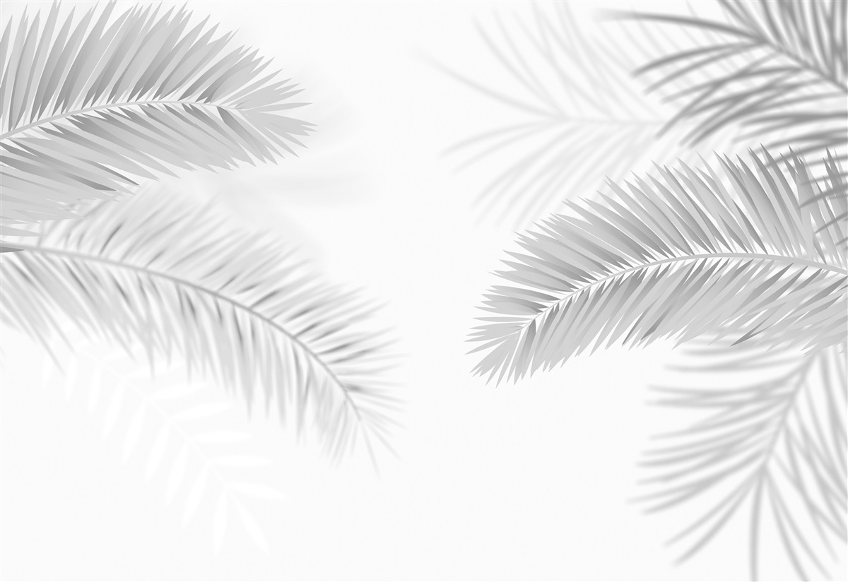 Last Product image