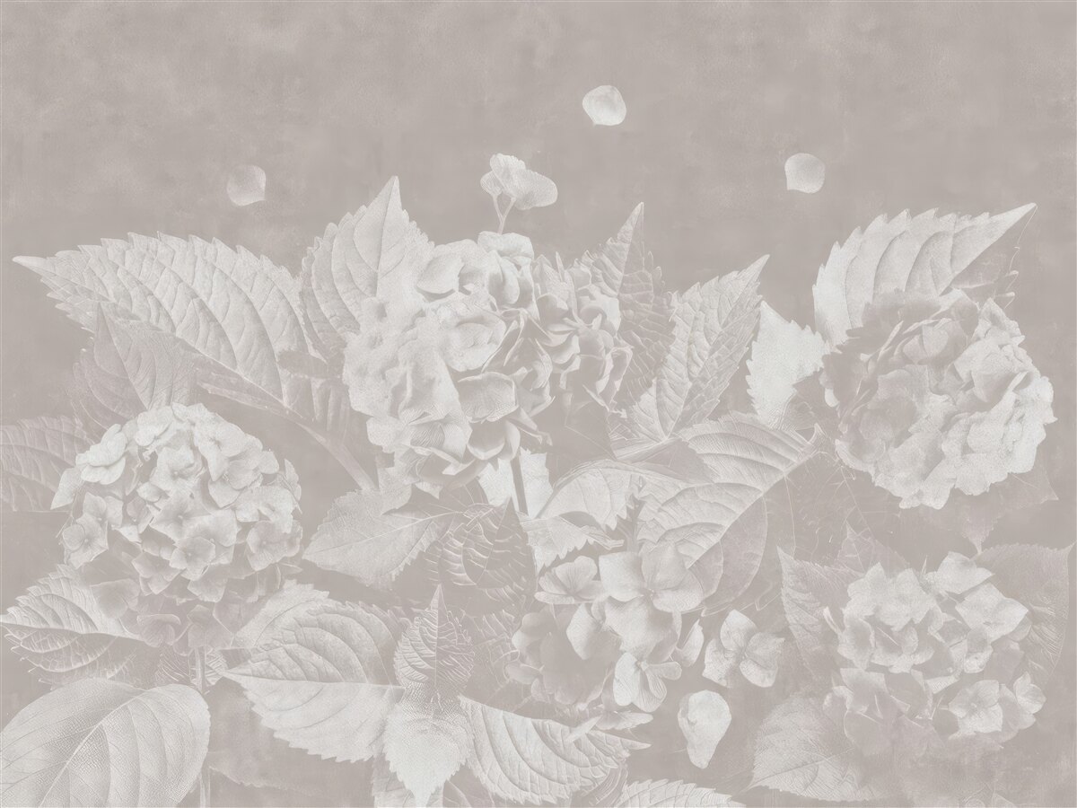Last Product image