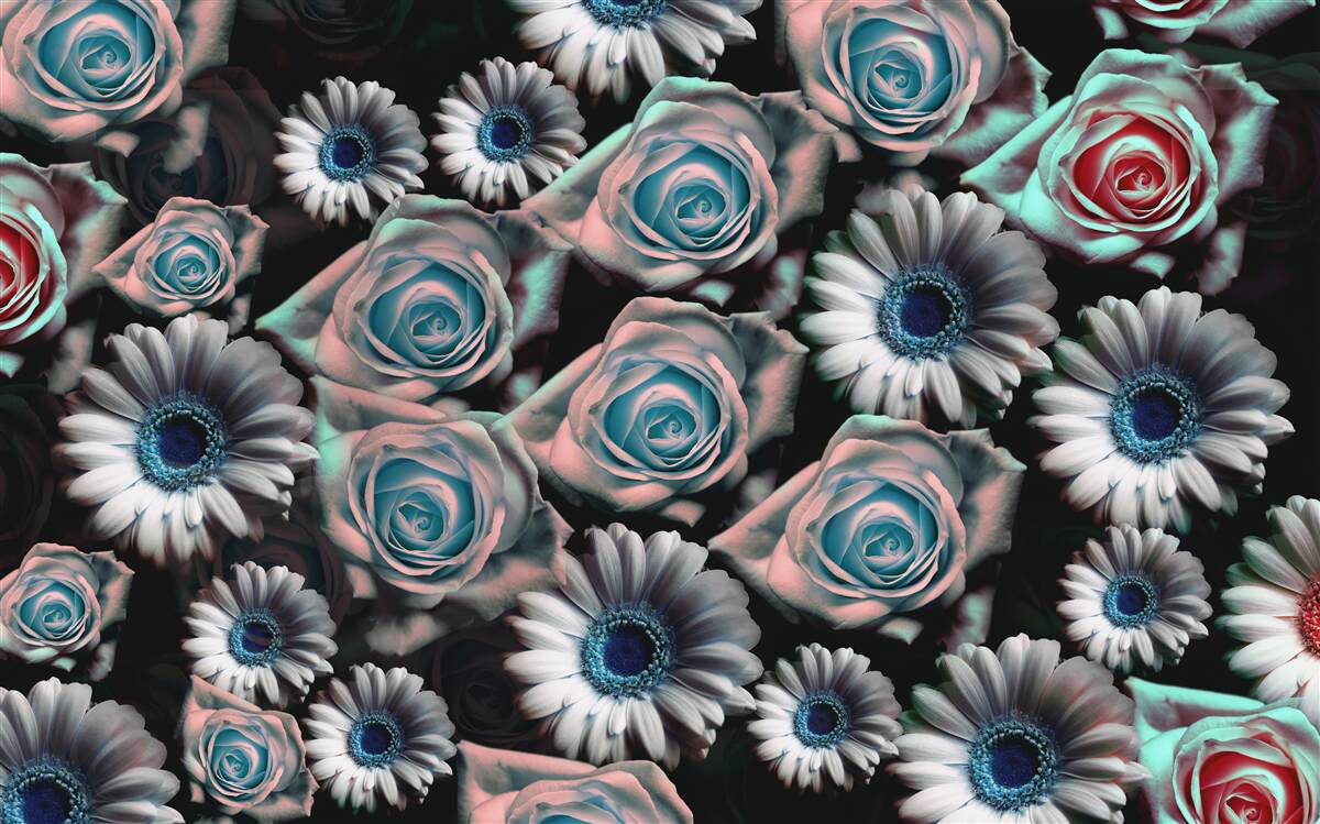 Last Product image