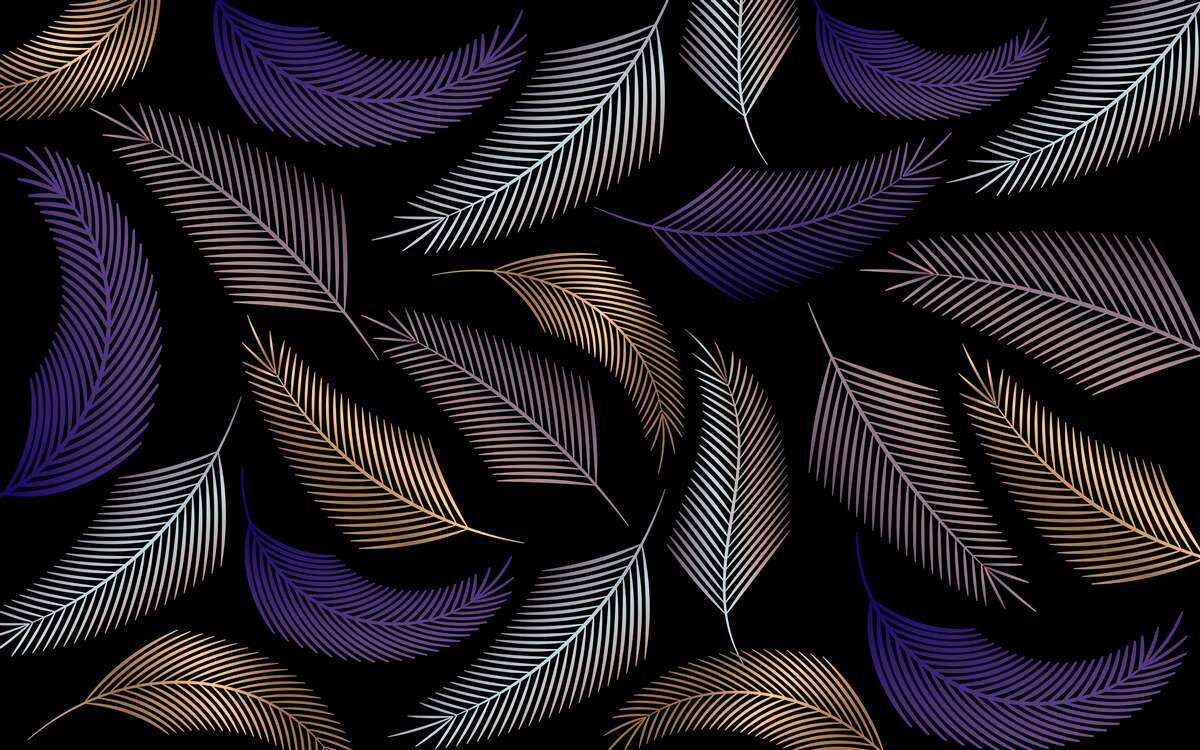 Last Product image