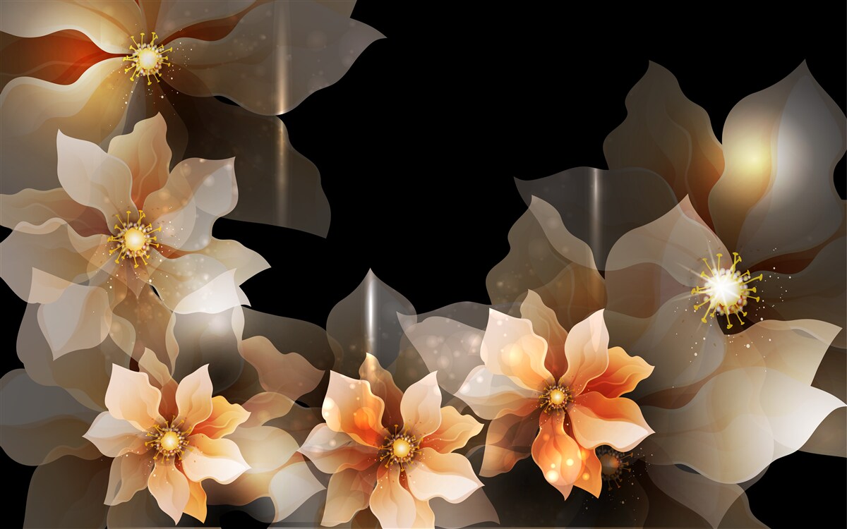 Last Product image