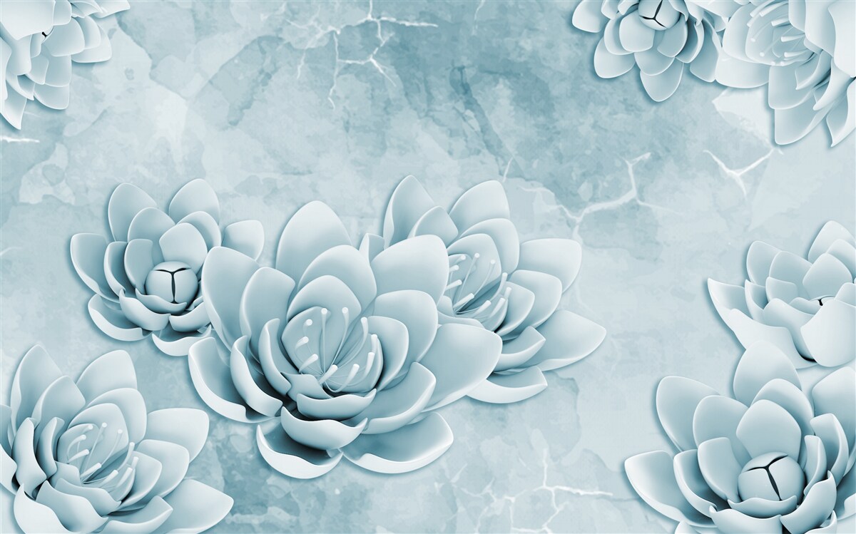 Last Product image
